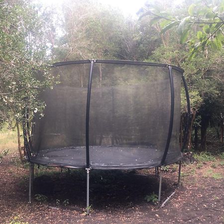 Cabanas Ensenada Bosque Nativo Exterior foto