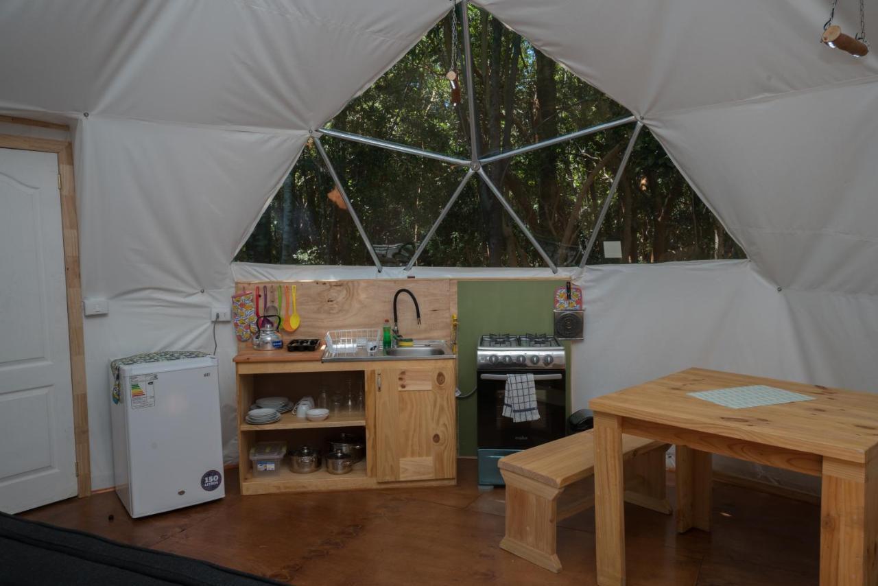 Cabanas Ensenada Bosque Nativo Exterior foto