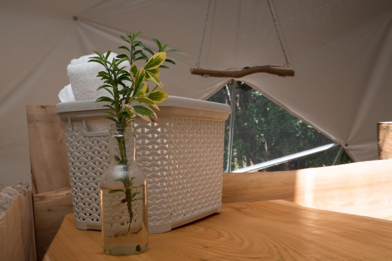 Cabanas Ensenada Bosque Nativo Exterior foto