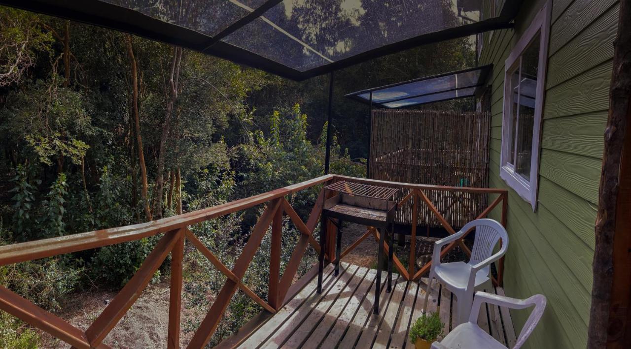 Cabanas Ensenada Bosque Nativo Exterior foto