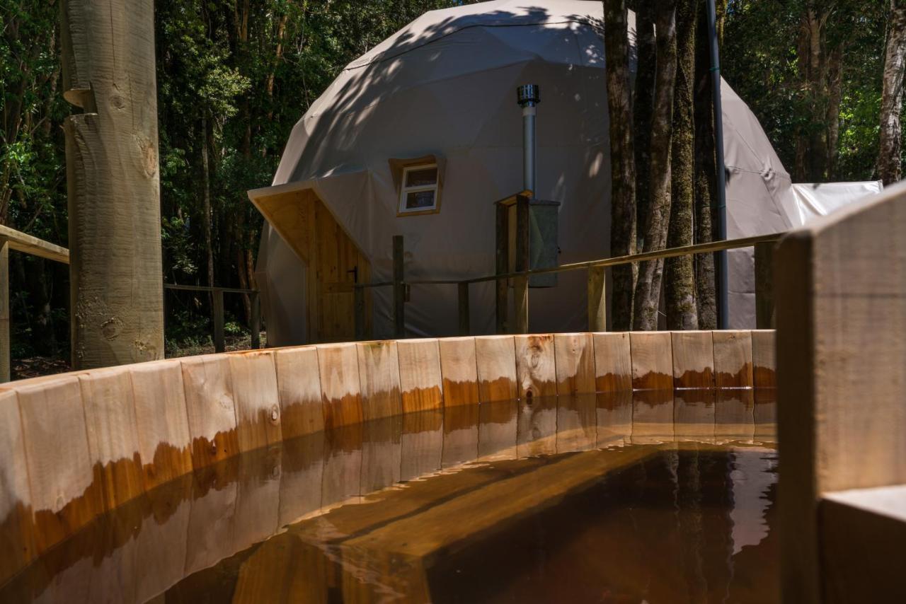 Cabanas Ensenada Bosque Nativo Exterior foto