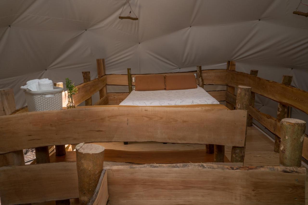Cabanas Ensenada Bosque Nativo Exterior foto