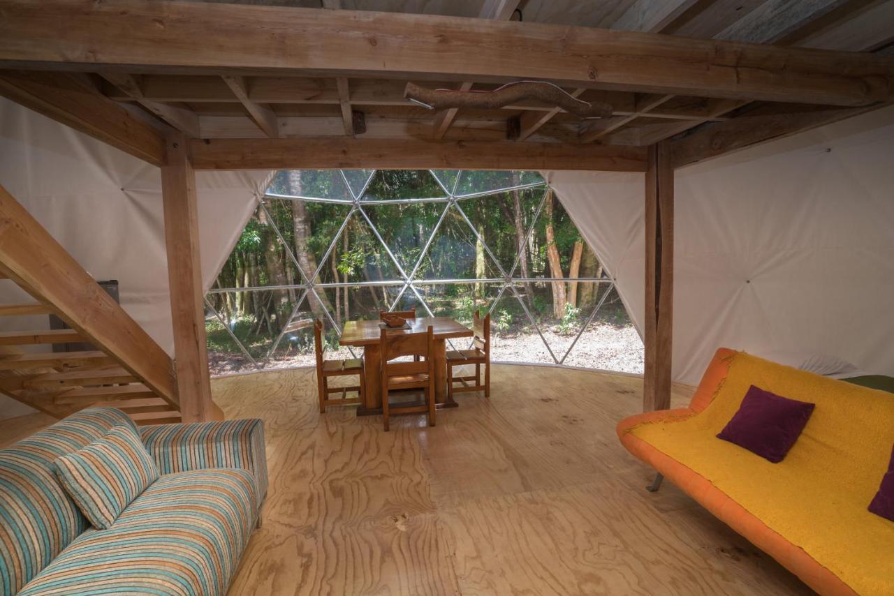 Cabanas Ensenada Bosque Nativo Exterior foto