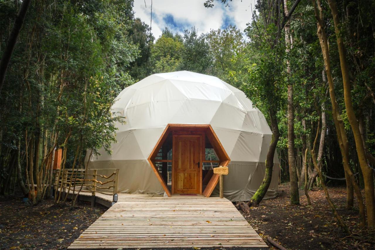 Cabanas Ensenada Bosque Nativo Exterior foto