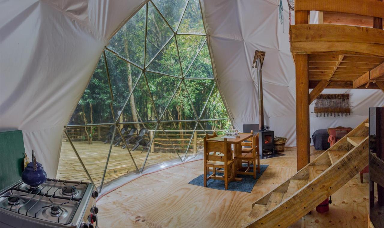 Cabanas Ensenada Bosque Nativo Exterior foto