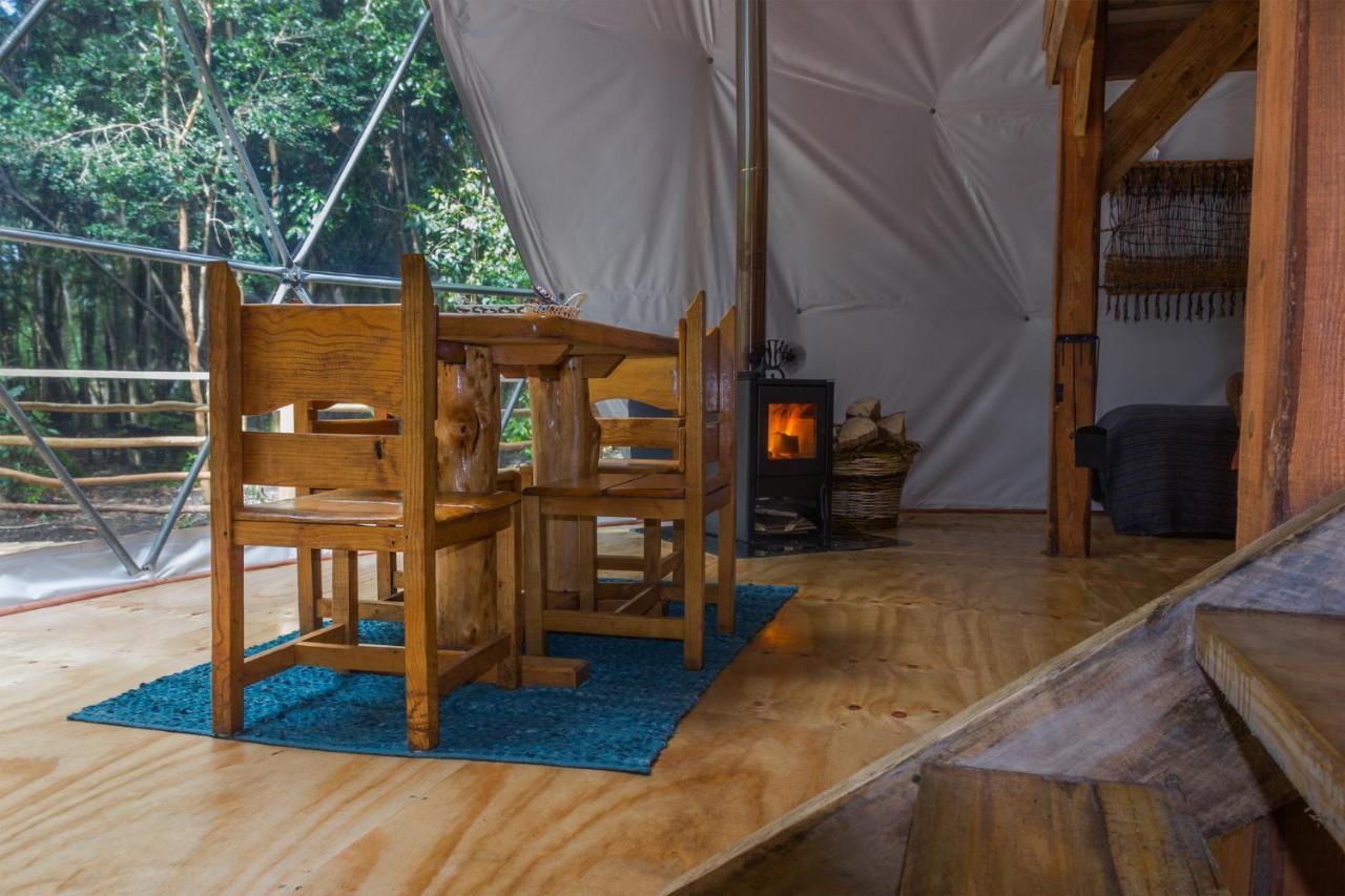 Cabanas Ensenada Bosque Nativo Exterior foto
